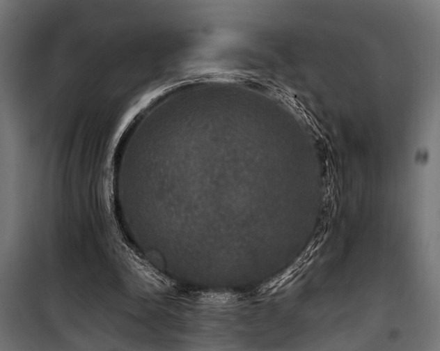 X0000100860342200806201222