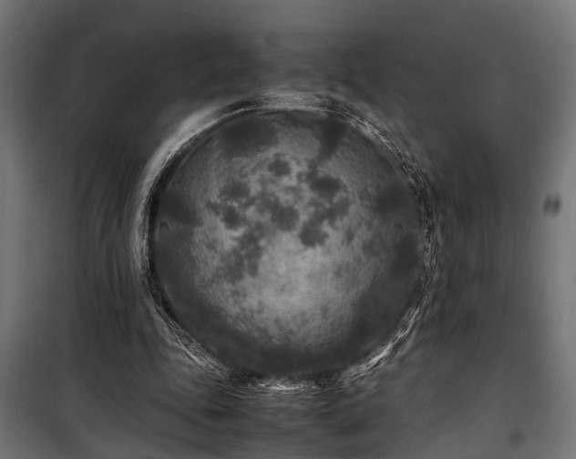 X0000100860343200806201222