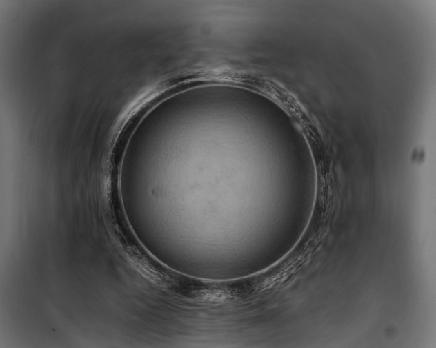 X0000100860344200806201222