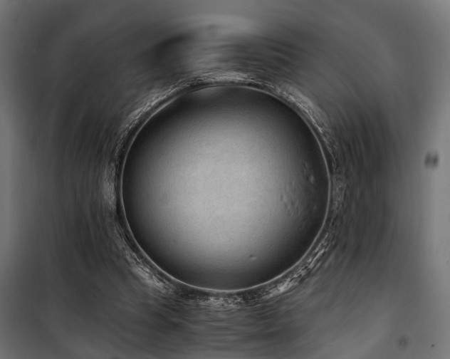 X0000100860345200806201222