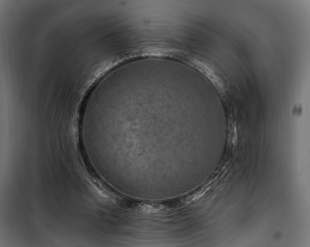 X0000100860346200806201222