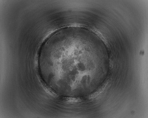 X0000100860347200806201222