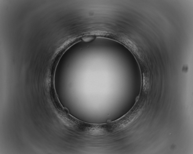 X0000100860348200806201222