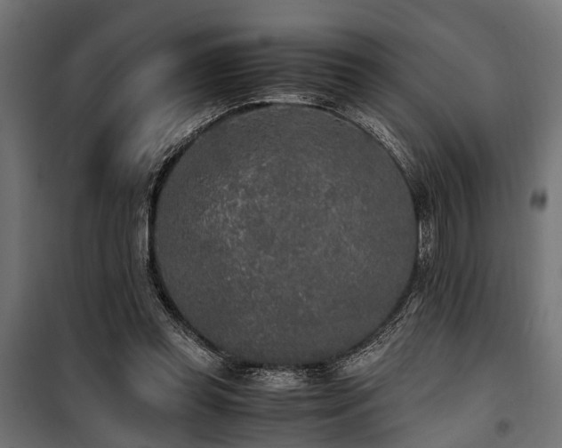 X0000100860349200806201222