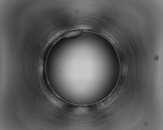 X0000100860350200806201222