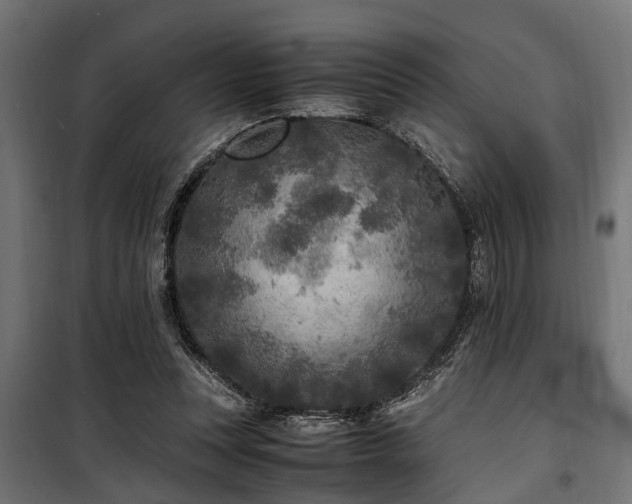 X0000100860351200806201222