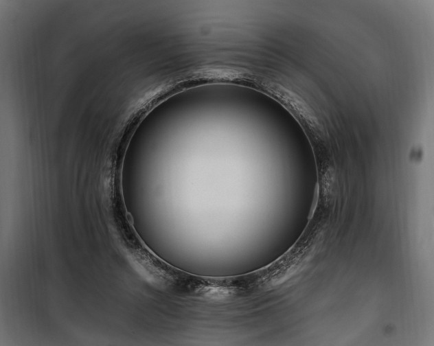 X0000100860352200806201222