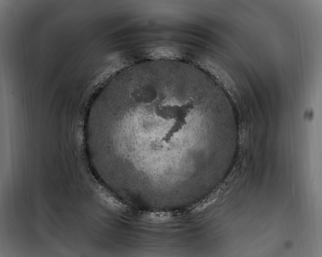 X0000100860353200806201222