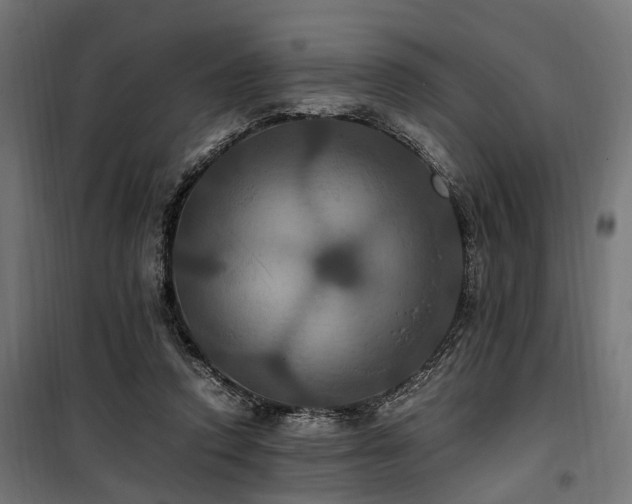 X0000100860354200806201222