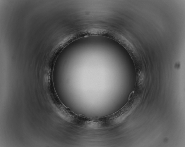 X0000100860356200806201222