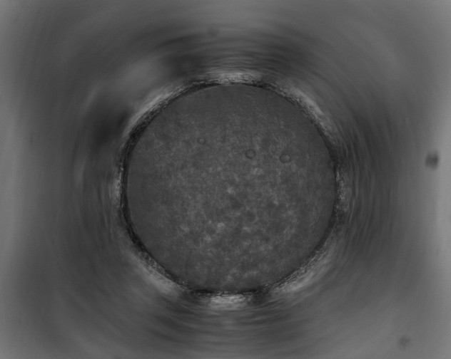 X0000100860357200806201222