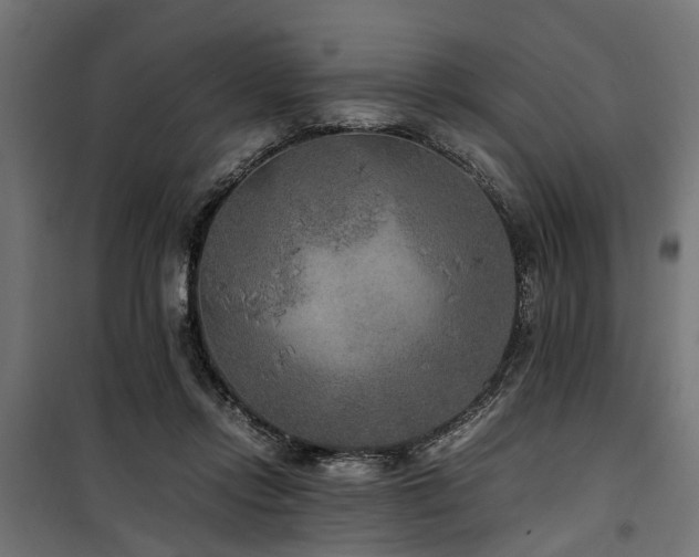 X0000100860358200806201222