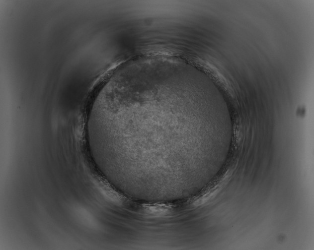 X0000100860359200806201222