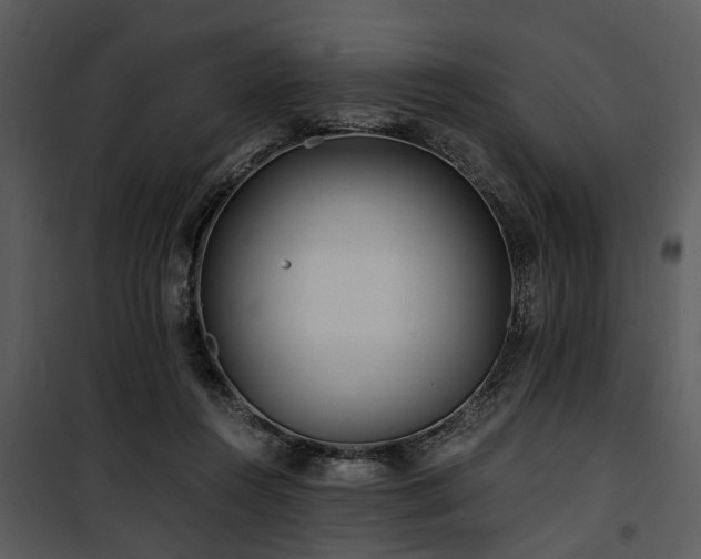 X0000100860360200806201222