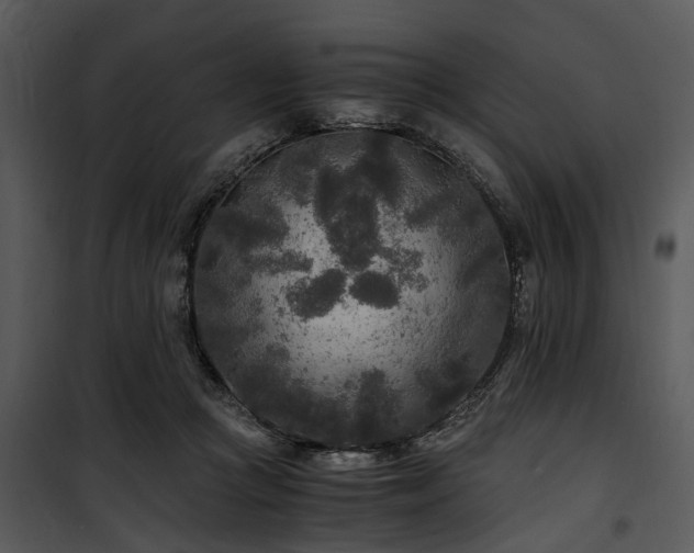 X0000100860361200806201222