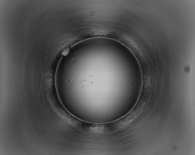 X0000100860362200806201222