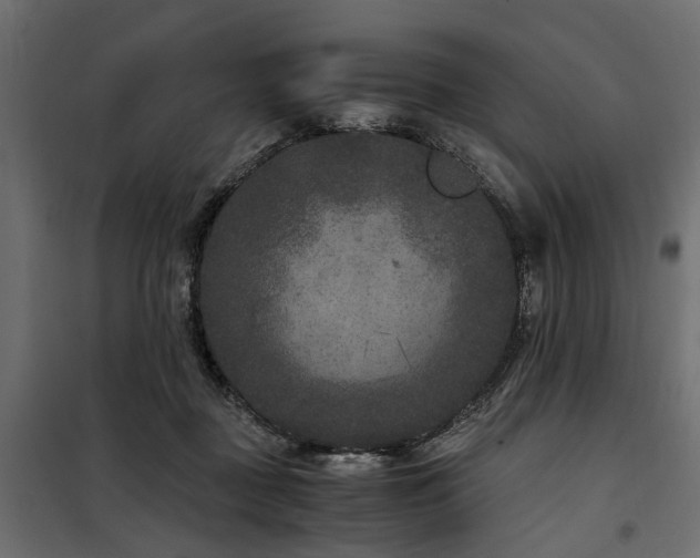 X0000100860363200806201222