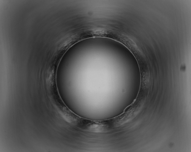 X0000100860364200806201222