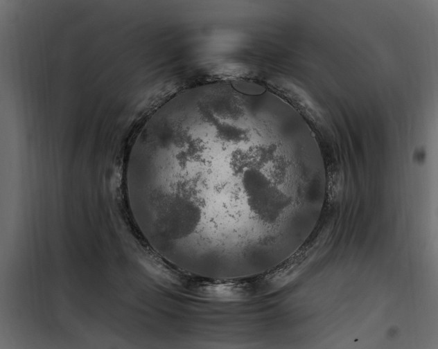 X0000100860365200806201222