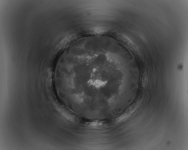 X0000100860366200806201222