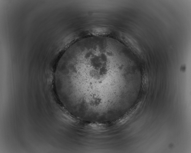 X0000100860367200806201222