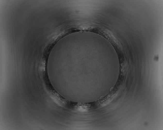 X0000100860368200806201222