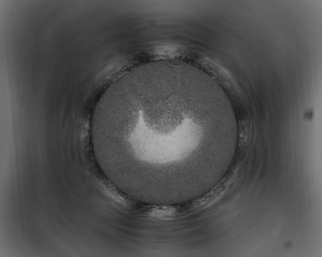 X0000100860369200806201222