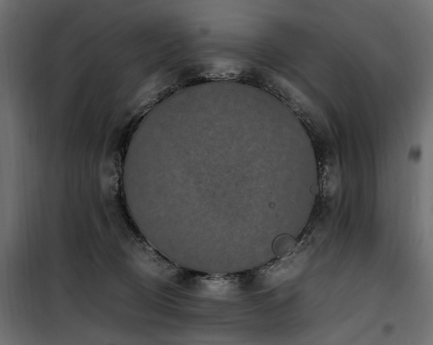 X0000100860370200806201222