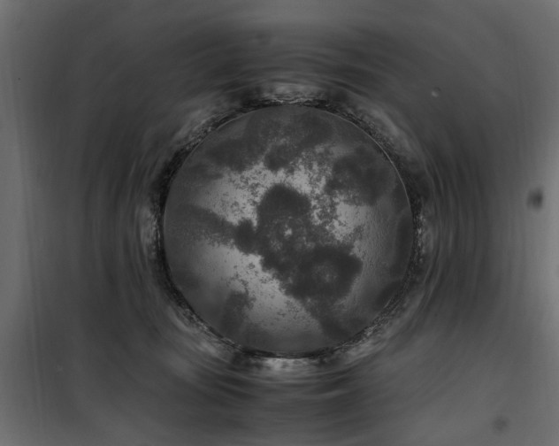 X0000100860371200806201222