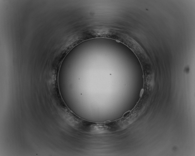 X0000100860372200806201223