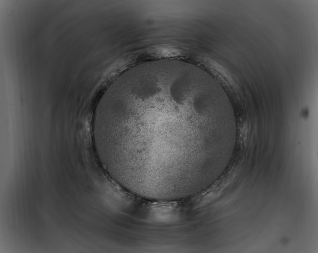 X0000100860373200806201223