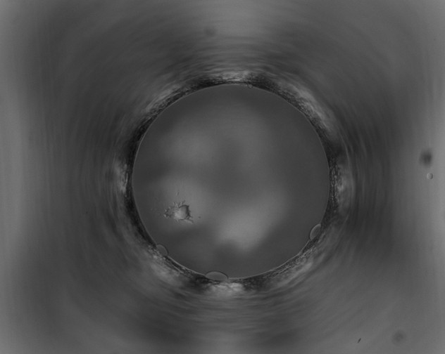 X0000100860374200806201223