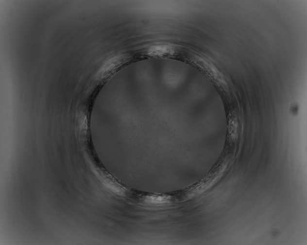 X0000100860375200806201223