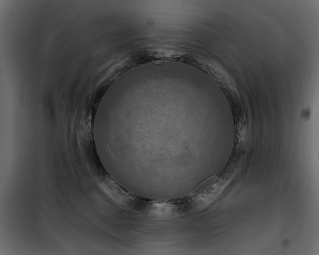 X0000100860376200806201223