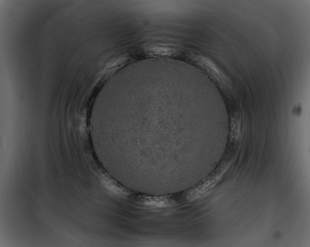 X0000100860377200806201223