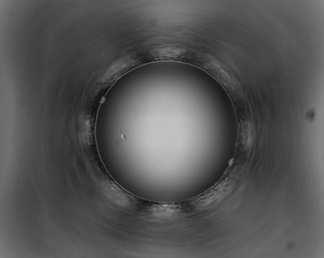 X0000100860378200806201223