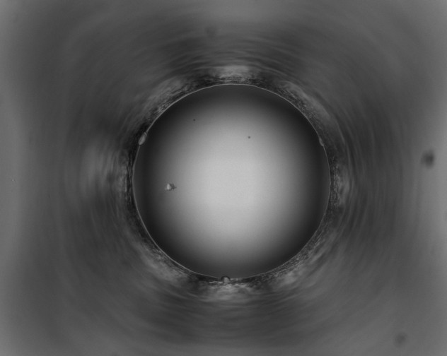 X0000100860379200806201223