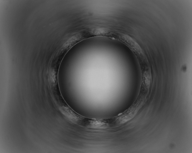 X0000100860380200806201223