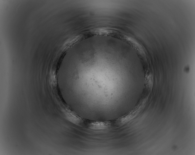 X0000100860381200806201223