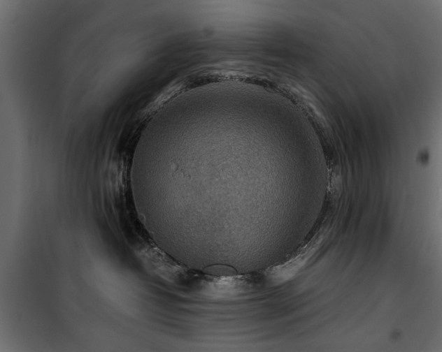 X0000100860382200806201223