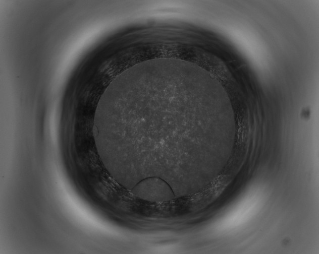 X0000100860383200806201223