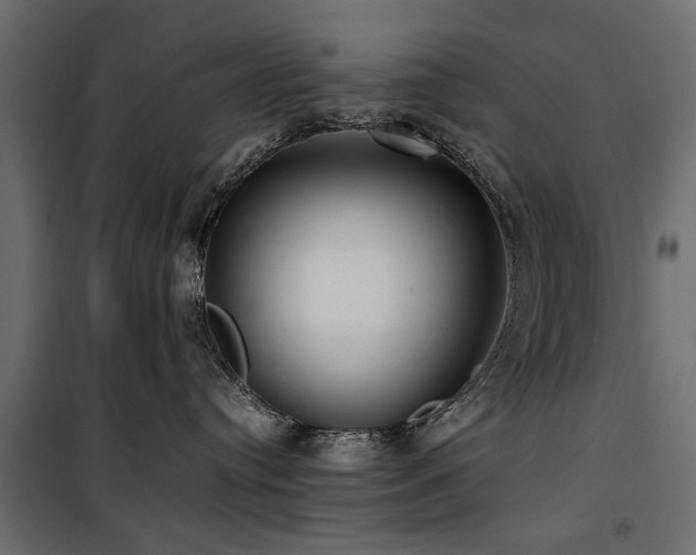 X0000100860384200806201223