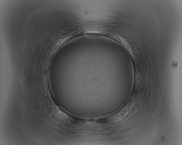 X0000100860385200806201222