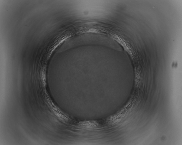 X0000100860386200806201222