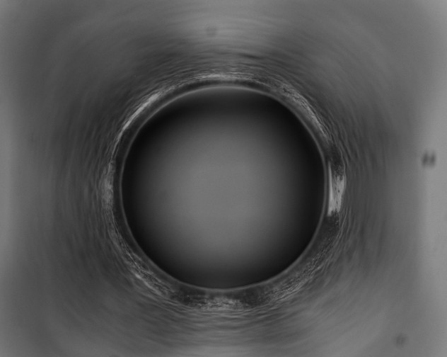 X0000100860387200806201222