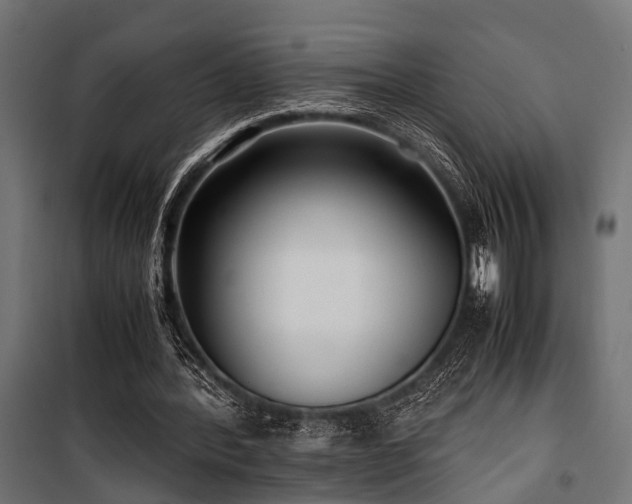 X0000100860388200806201222