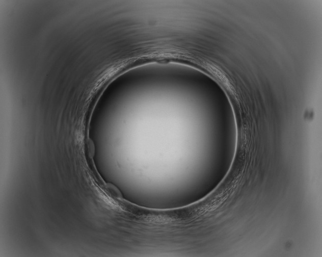 X0000100860389200806201222