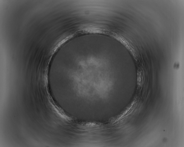 X0000100860390200806201222