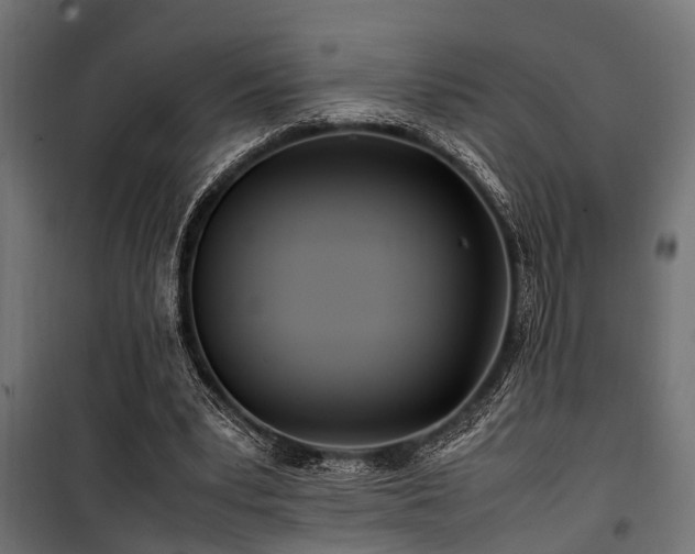 X0000100860391200806201222