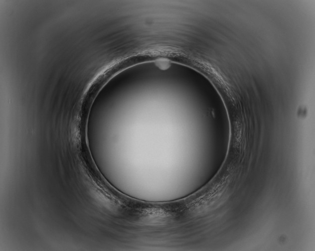 X0000100860392200806201222